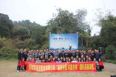 深圳市宝安粮食有限公司2018年团队素质拓展培训